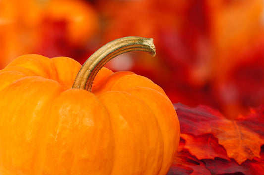 Fall Decor Ideas to Get Your Home Ready for the Season