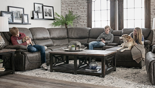 Your Guide to Choosing Pet-Friendly Furniture