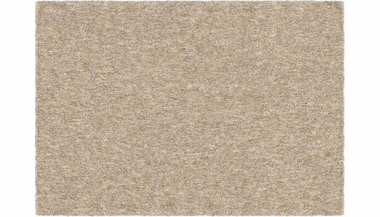 Next Generation Platinum 7 x 10 Rug