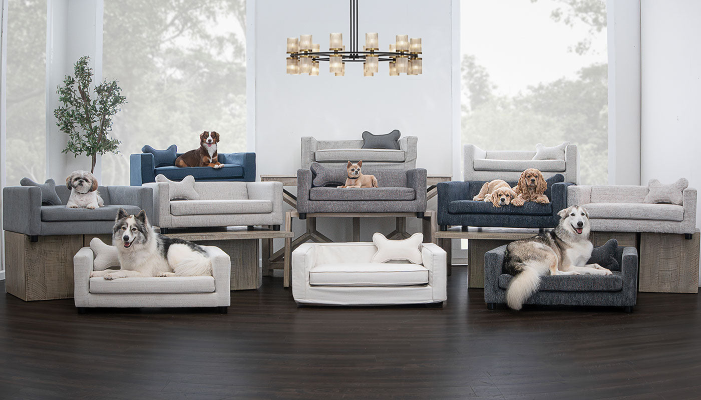 Pierce Dog Sofa