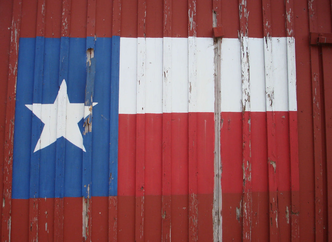 How to add a touch of Texas to your home's decor