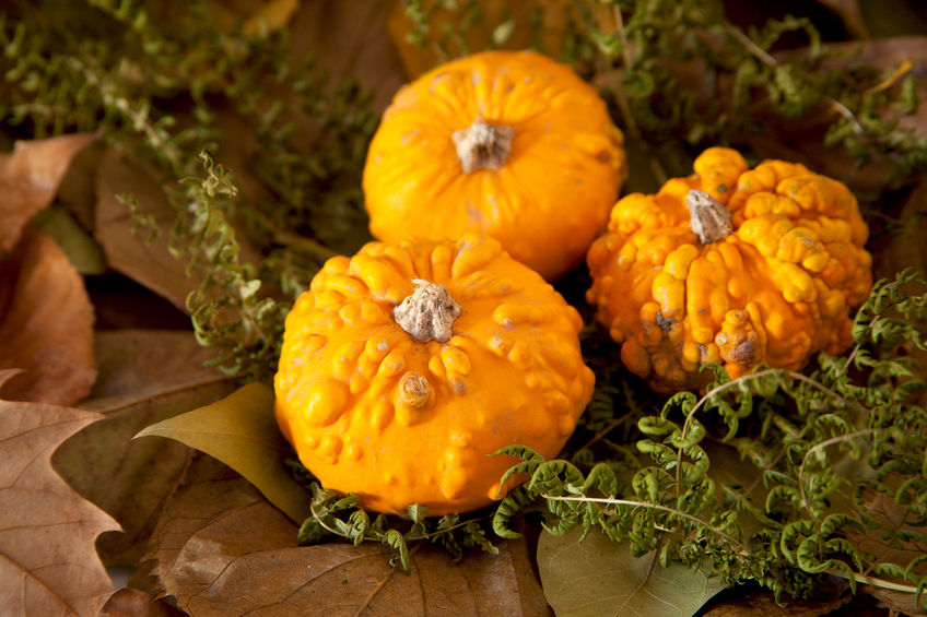 The Perfect Spots To Incorporate Pumpkins Into Your Home