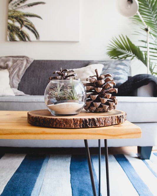Current Home Zone Favorites