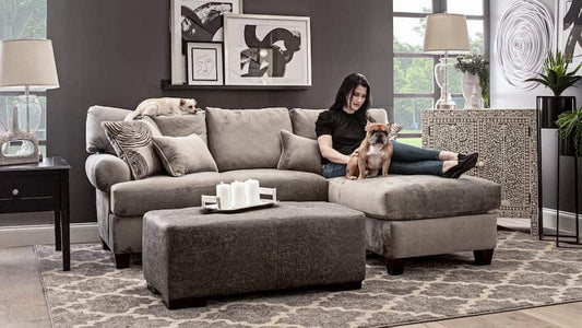 Modern Living Room Furniture For Families