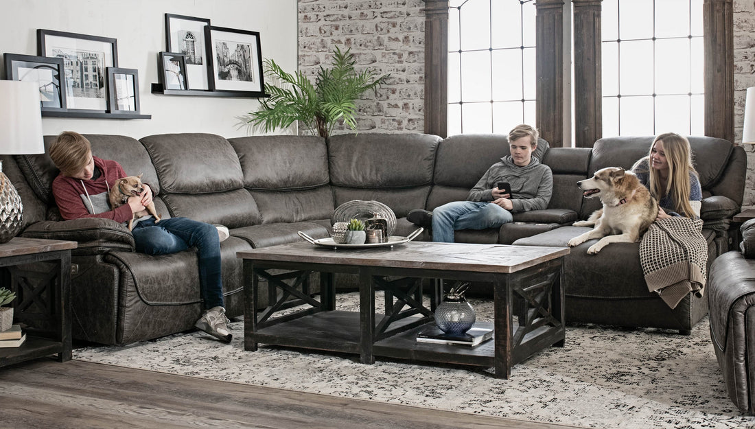 Your Guide to Choosing Pet-Friendly Furniture