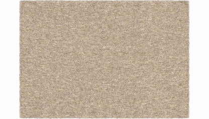 Next Generation Platinum 7 x 10 Rug