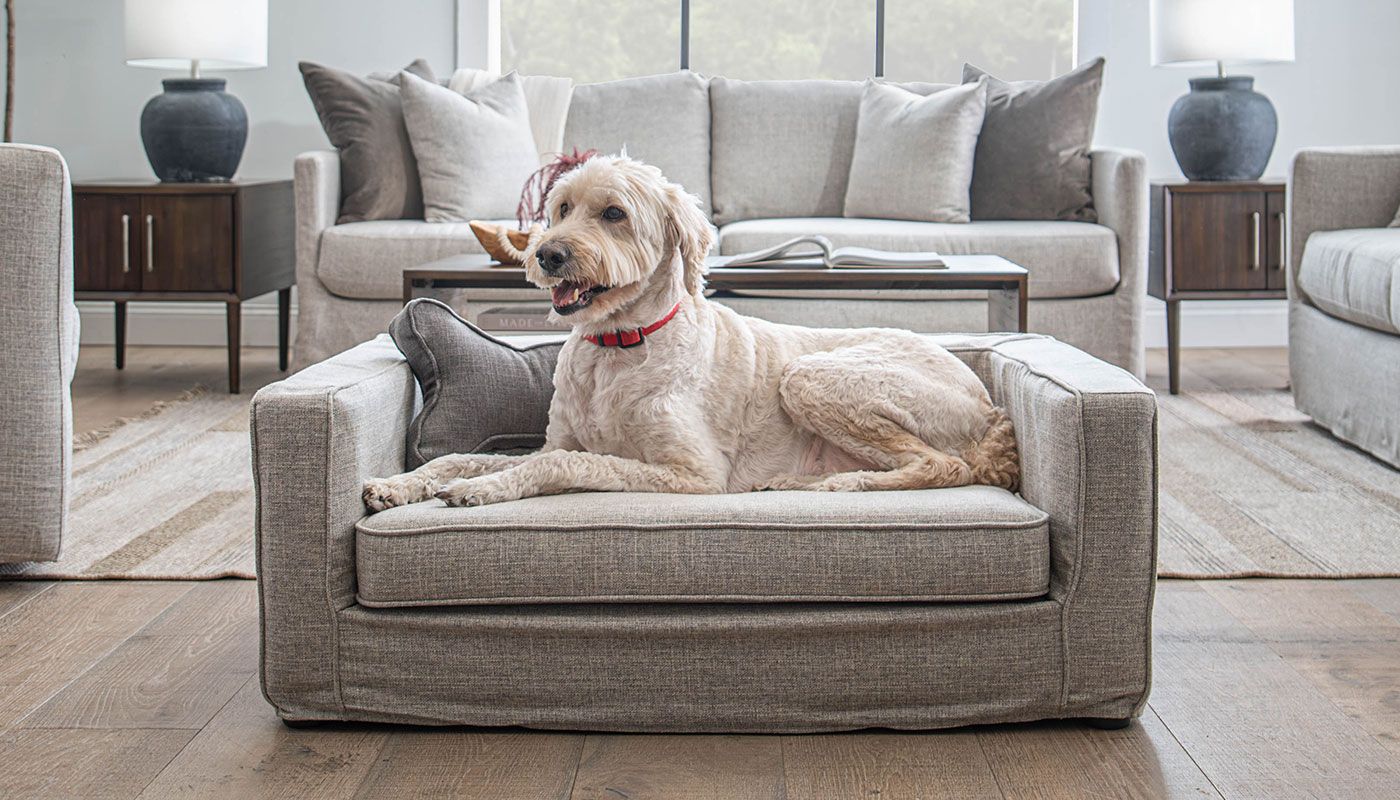 Couch with dog bed hotsell