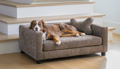 Dog Sofa