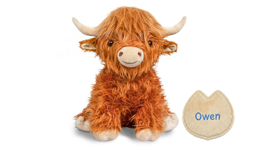 Owen Highland Cow for CFF