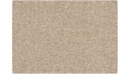 Next Generation Platinum 7 x 10 Rug