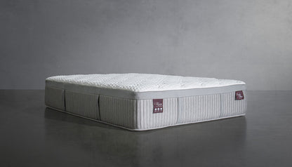 Smart Sleep Bundle