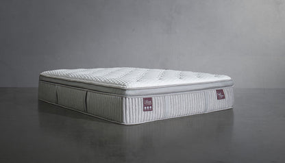 Smart Sleep Bundle